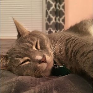 Meet your Posher, Grace